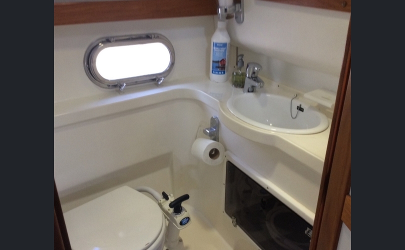 Nimbus 29 Coupe-kuva-10